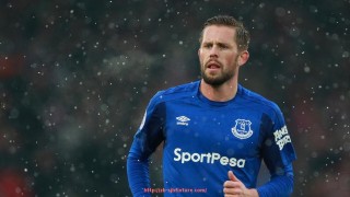 世俱杯直播-美国锐飞健身器材品牌介绍及产品特点